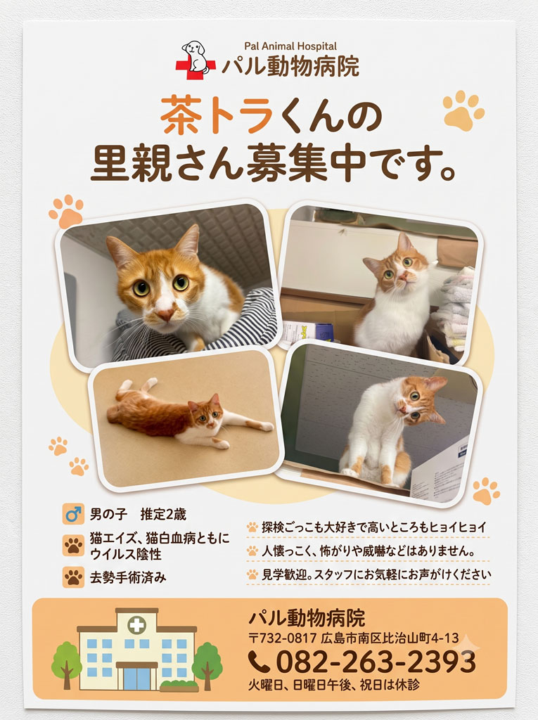 エントリ画像