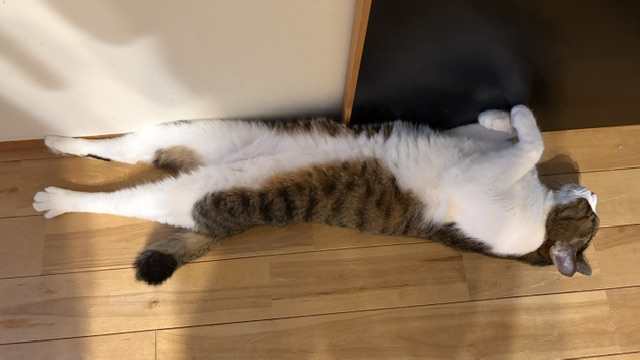 エントリ画像