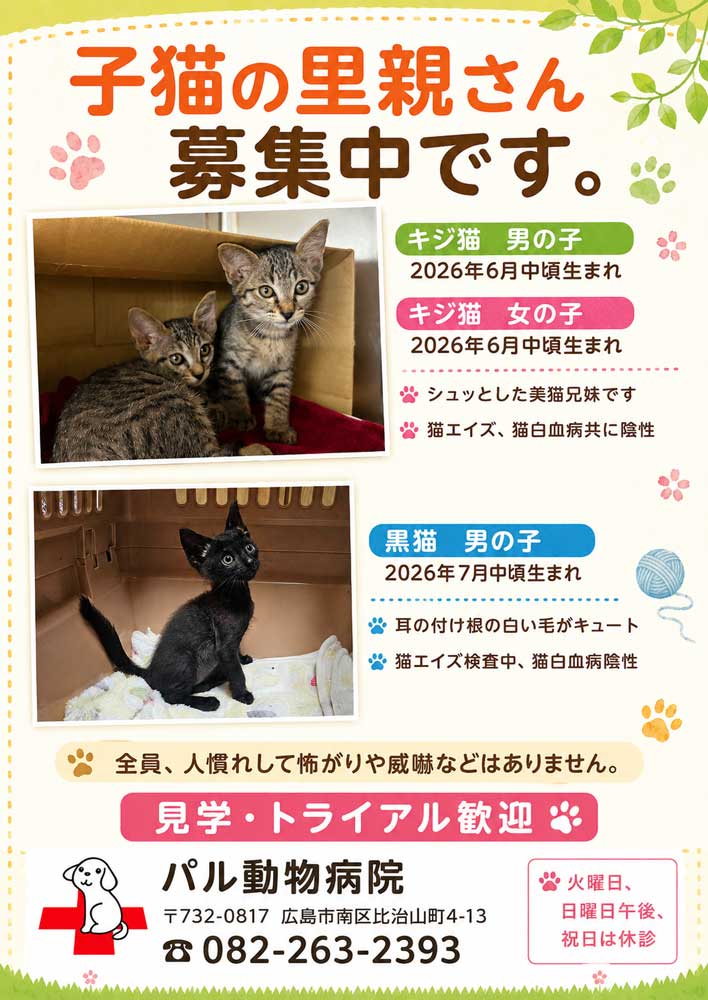 エントリ画像