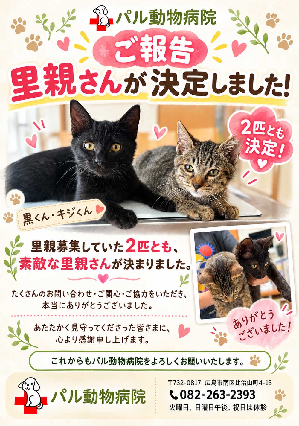エントリ画像